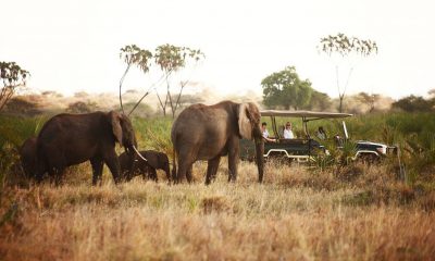 Smokesilver Luxury African Travel Joins The Luxury Network UK