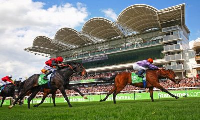 Newmarket Racecourses continue their membership of The Luxury Network UK